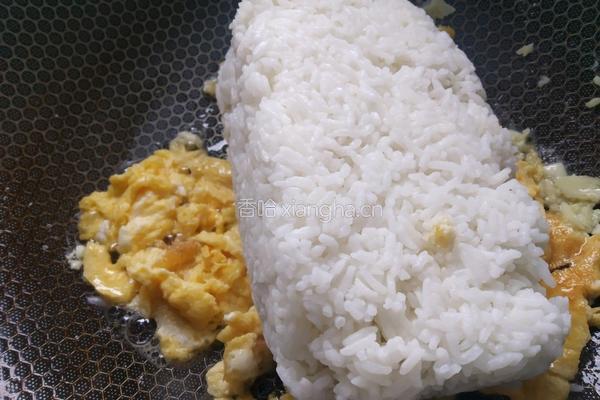 外婆菜蛋炒饭的做法图解4