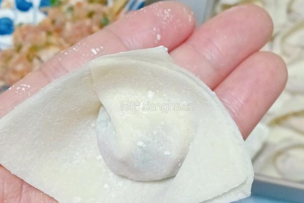 胡萝卜猪肉云吞的做法图解9