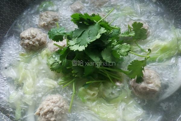 肉丸芽白粉丝汤的做法图解7