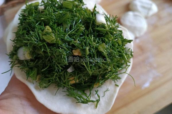 茴香鸡蛋馅饼的做法图解9