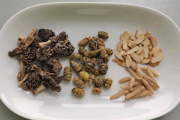 羊肚菌炖肉汁的做法图解1