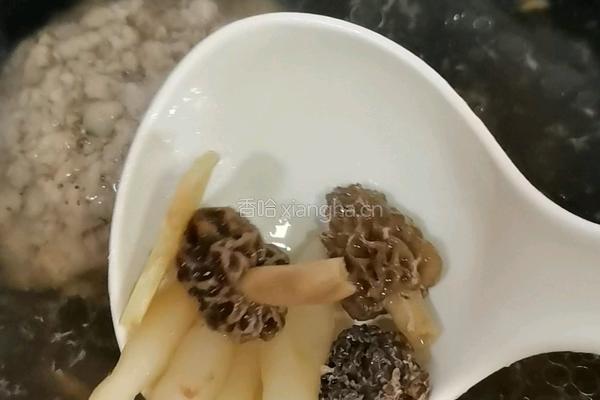 羊肚菌炖肉汁的做法图解5