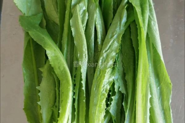 麻酱拌油麦菜的做法图解11