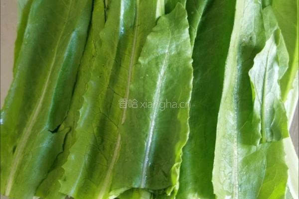 麻酱拌油麦菜的做法图解12