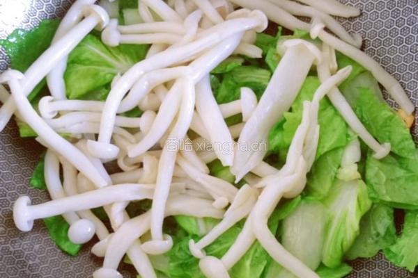 海鲜菇炒小白菜的做法图解11