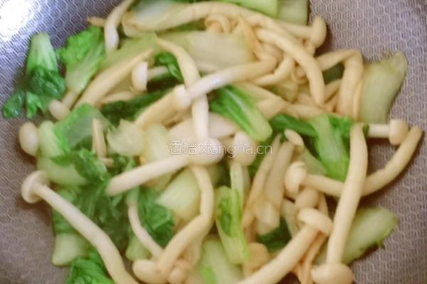 海鲜菇炒小白菜的做法图解12