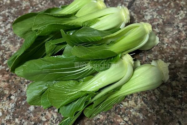 炒飘儿菜 的做法图解1