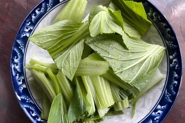 炒飘儿菜 的做法图解2