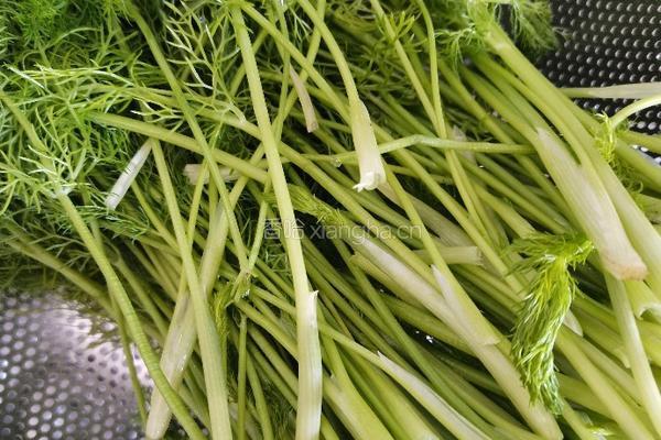茴香猪肉饺子的做法图解2