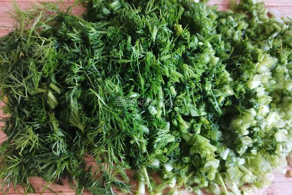 茴香猪肉饺子的做法图解3
