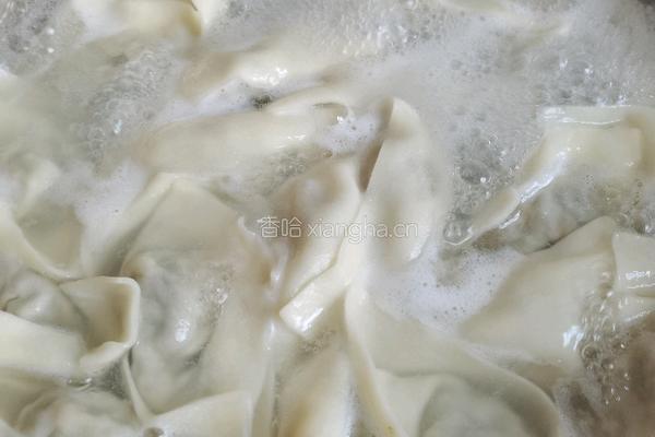 茴香猪肉饺子的做法图解12