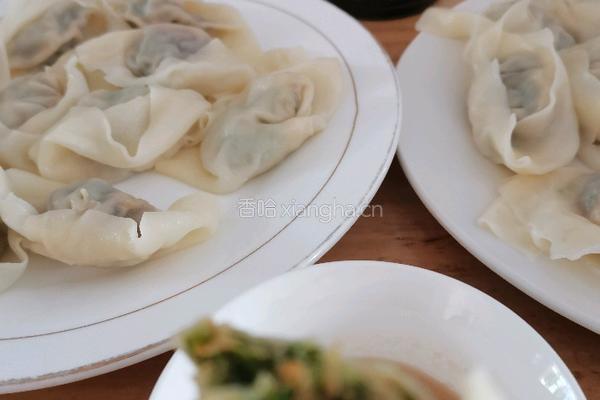 茴香猪肉饺子的做法图解15