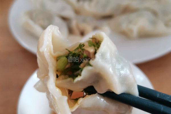 茴香猪肉饺子的做法图解16