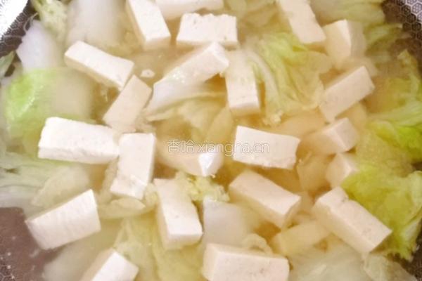 白菜炖豆腐的做法图解8