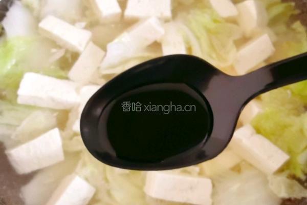 白菜炖豆腐的做法图解9