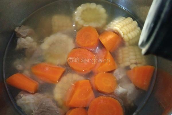 胡萝卜玉米排骨汤的做法图解8