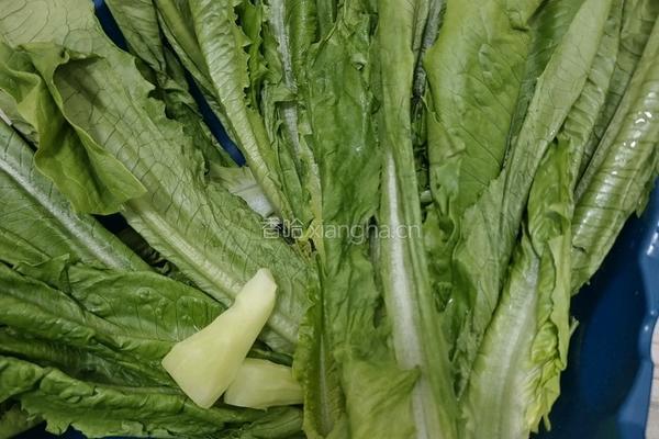 蒜蓉油麦菜的做法图解1