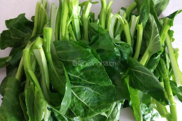 蒜蓉菜心的做法图解1