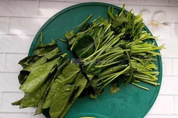 菠菜炒鸡蛋的做法图解3