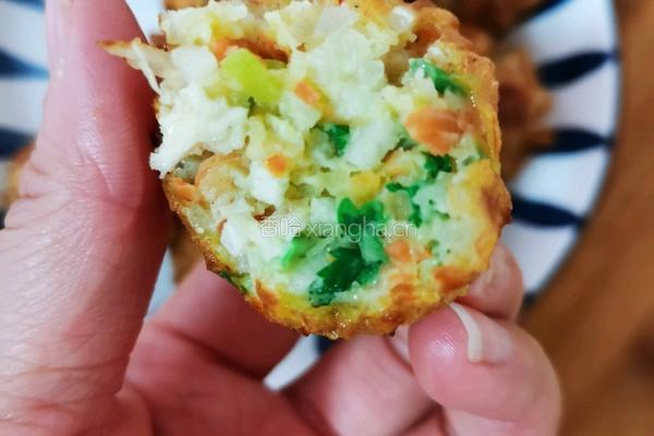 鸡肉萝卜丸子（不焯水）的做法图解7