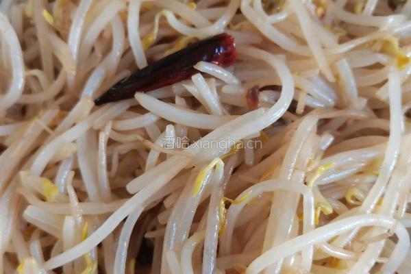 醋炒绿豆芽的做法图解14