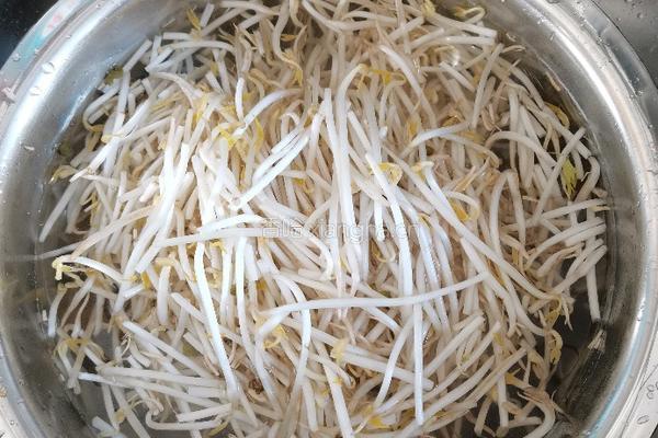 醋炒绿豆芽的做法图解1
