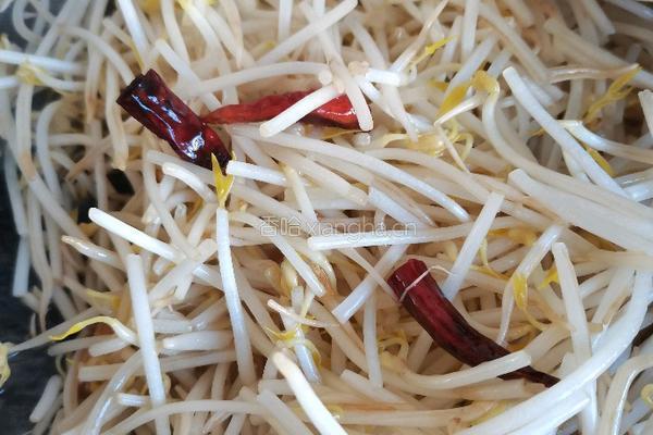 醋炒绿豆芽的做法图解9
