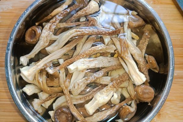 鹿茸菇烧腩肉的做法图解2