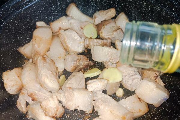 鹿茸菇烧腩肉的做法图解6