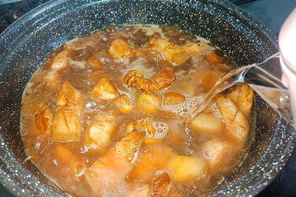 鹿茸菇烧腩肉的做法图解10