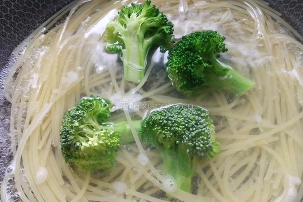 番茄烩肉酱意面的做法图解5