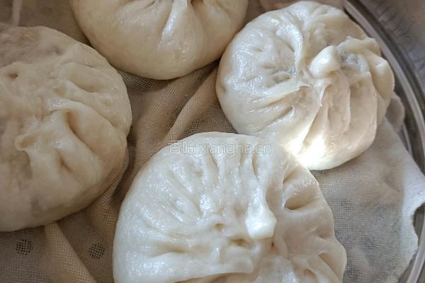 圆白菜鸡蛋粉条素馅包子