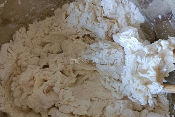 圆白菜鸡蛋粉条素馅包子的做法图解2