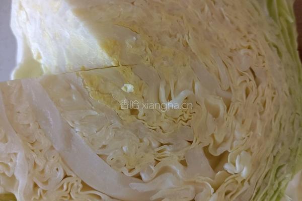 圆白菜鸡蛋粉条素馅包子的做法图解5