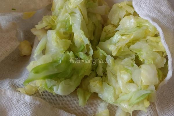 圆白菜鸡蛋粉条素馅包子的做法图解13