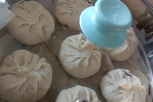 圆白菜鸡蛋粉条素馅包子的做法图解21