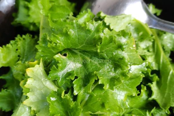 清炒苔菜叶的做法图解5