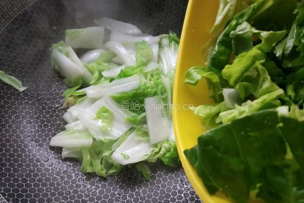 蒜蓉芽白的做法图解5