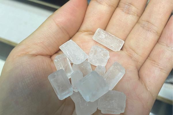 银耳桂圆红枣羹的做法图解4