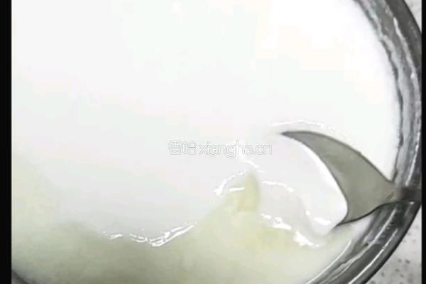 自制酸奶的做法图解3