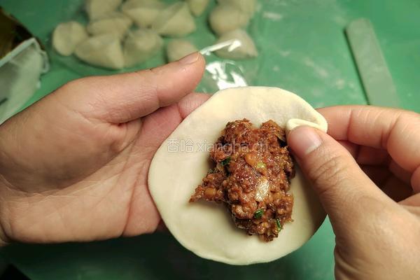 香菇酱肉小笼包的做法图解17