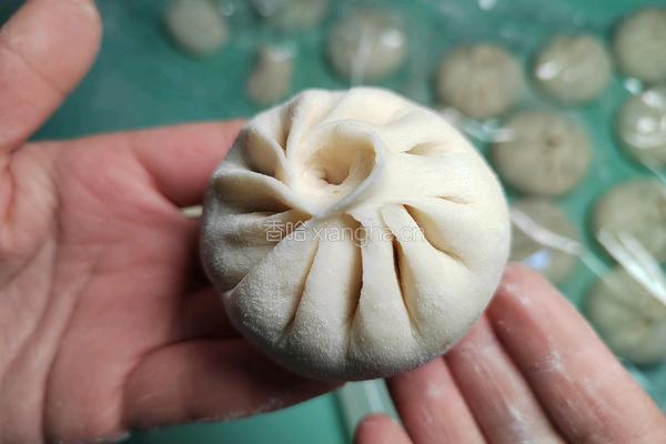 香菇酱肉小笼包的做法图解19