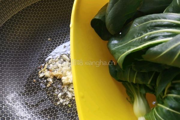 蒜蓉蚝油青菜的做法图解4