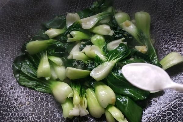 蒜蓉蚝油青菜的做法图解5