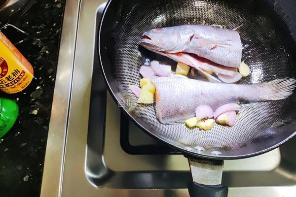 海鲈鱼烧毛豆子的做法图解4