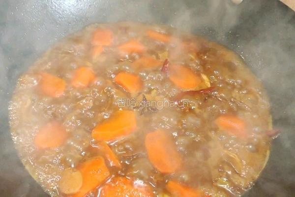 红烧牛肉饭的做法图解9
