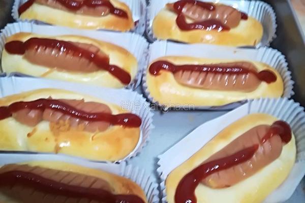 香肠肉松面包的做法图解8