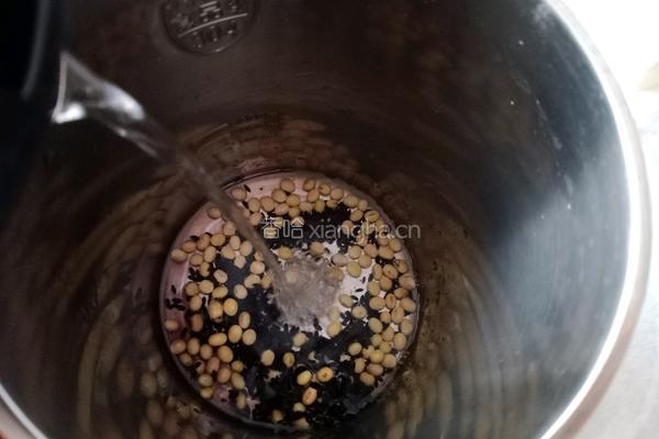 黑米豆浆的做法图解4