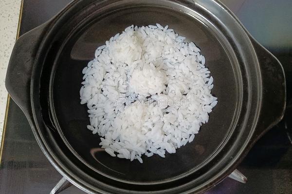 虾仁香菇砂锅粥的做法图解4