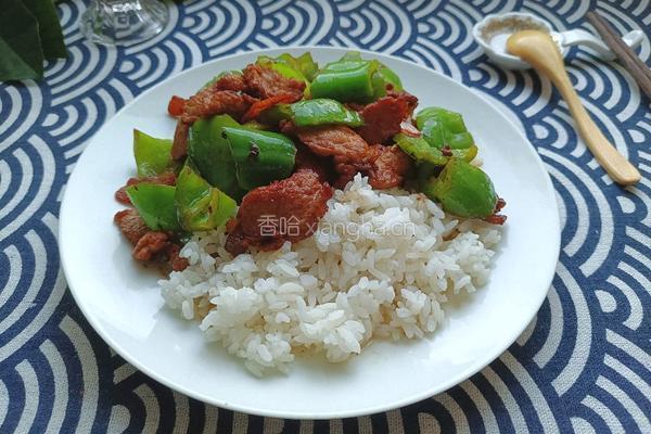 尖椒小炒肉盖饭